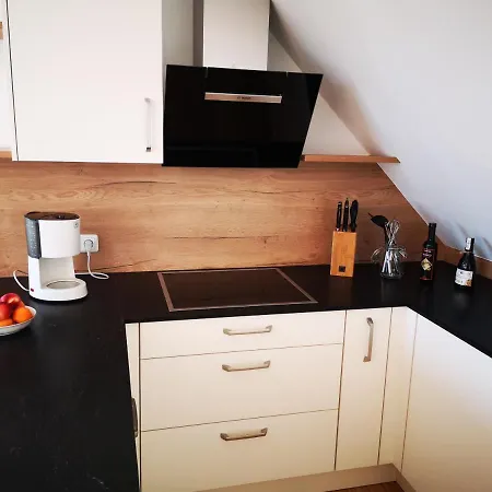 Spacy Next To The Center Of With Terrasse Apartament Graz