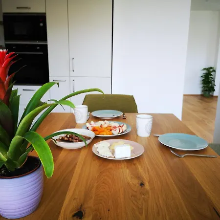 Spacy Next To The Center Of With Terrasse Appartement Graz