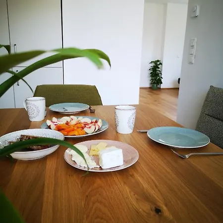 Spacy Next To The Center Of With Terrasse * グラーツ