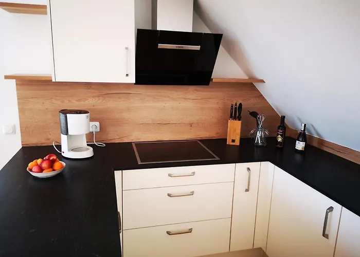 Spacy Next To The Center Of With Terrasse Apartament Graz