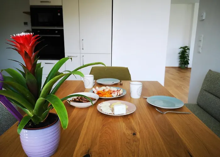 Spacy Next To The Center Of With Terrasse Apartament Graz