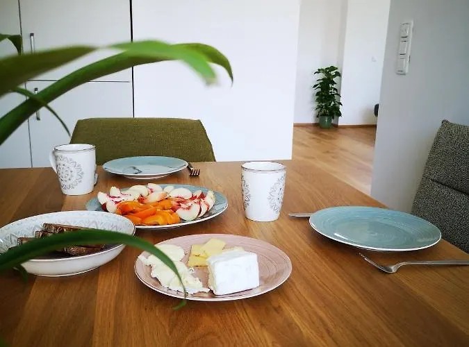 Spacy Next To The Center Of With Terrasse * 格拉茨